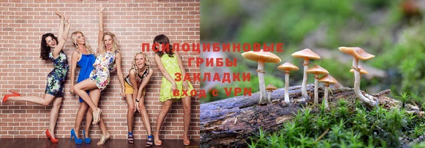 тгк Абинск