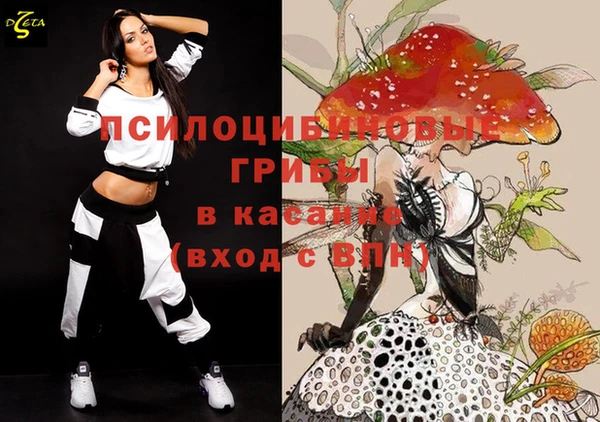 тгк Абинск